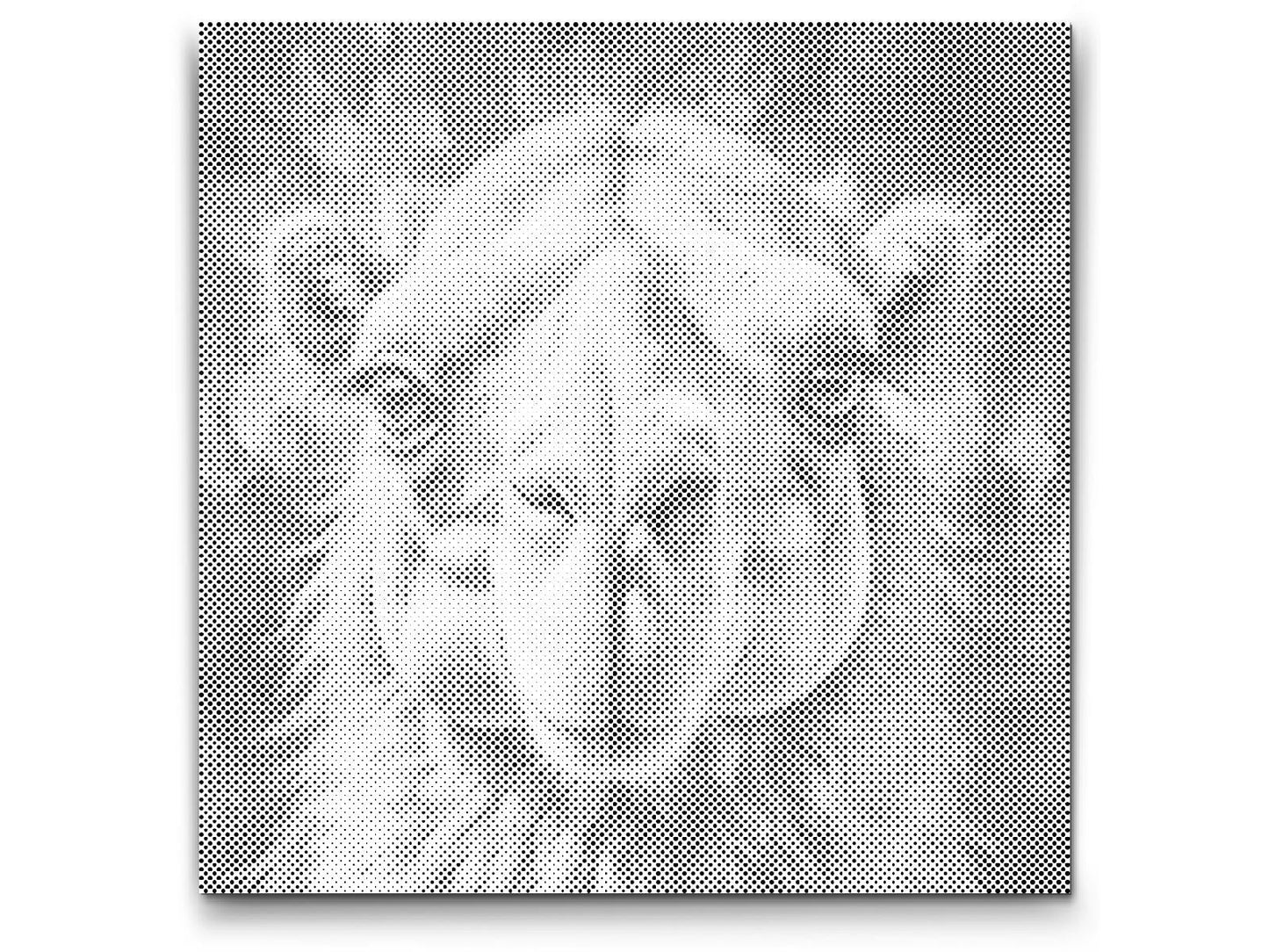 Dot Painting Kamel – Punktmalerei Tiermotiv mit orientalischem Flair