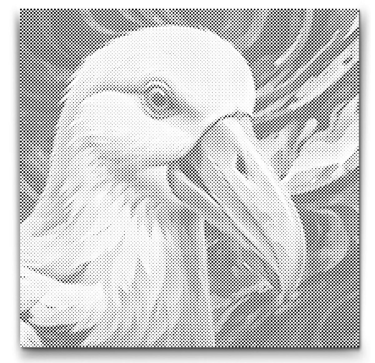 Albatros | Punktmalerei Set als fertiges Punktmalerei Kunstwerk
