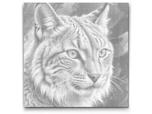 Dot Painting Luchs – Punktmalerei Tiermotiv mit wildem Waldbewohner